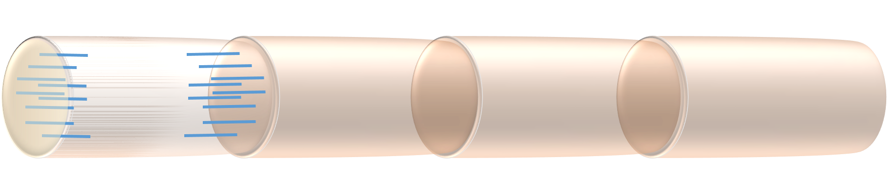 Filaments of the protein actin are atttached to the z-disks. They extend out into the sarcomere. So there are actin filaments extending into the sarcomere from each end - from each z-disk.