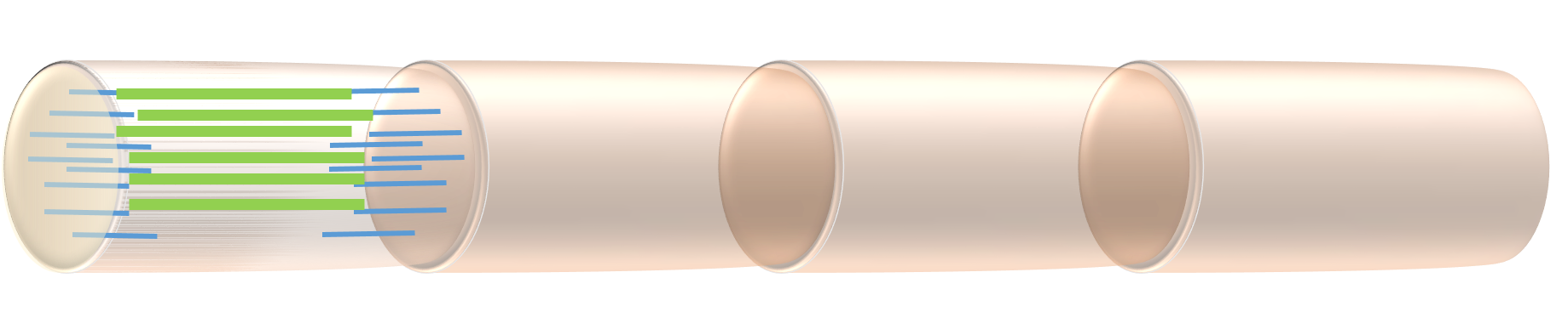 The protein myosin forms filaments that lie in the center of the sarcomere, their ends overlapping with actin filaments.