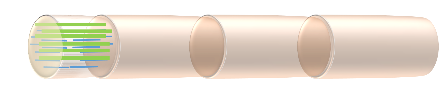 When the sarcomere contracts, the actin filaments slide past the myosin filaments, toward the center of the cell, pulling the z-disks they are attached to together.  The actin and myosin filaments don't get any shorter, they just slide past each other.